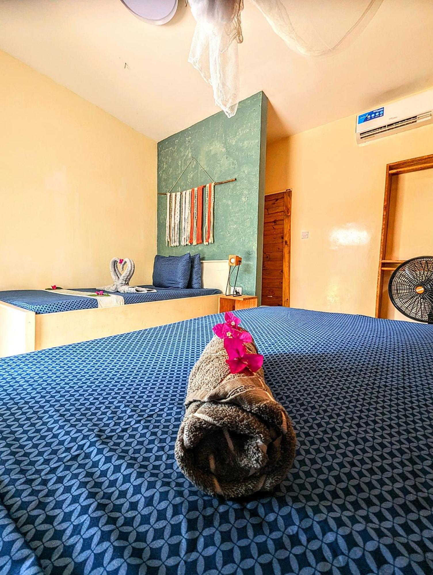 Jambiani Backpackers Hostel Номер фото